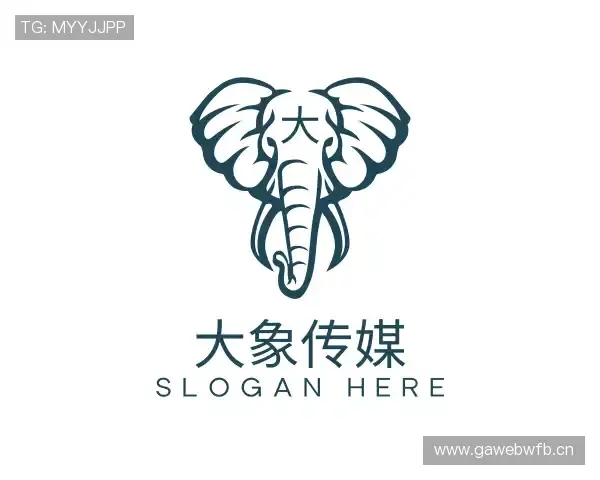 解读大象传媒